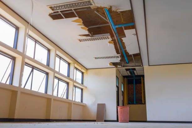 Best Water damage contractors near me  in Lorado City, CO