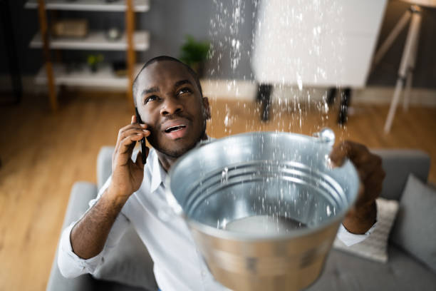 Best Ceiling water damage repair  in Lorado City, CO