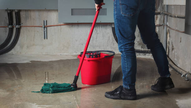 Best Commercial water damage restoration  in Lorado City, CO