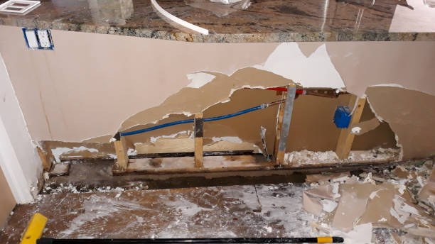 Best Fire Damage Restoration  in Lorado City, CO