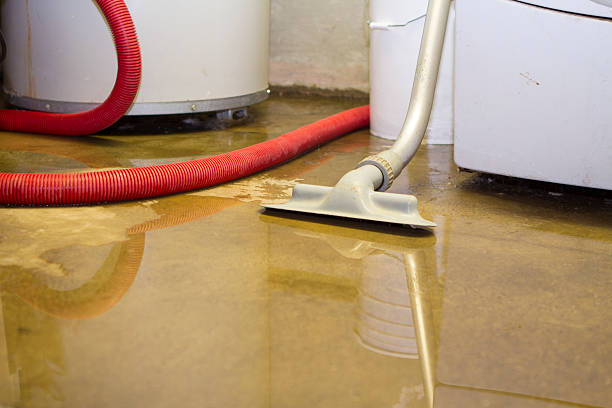 Best Mold removal after water damage  in Lorado City, CO