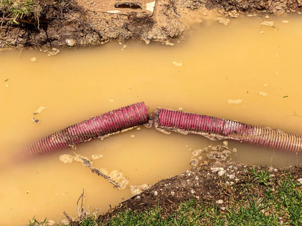 Best Mold removal after water damage  in Lorado City, CO